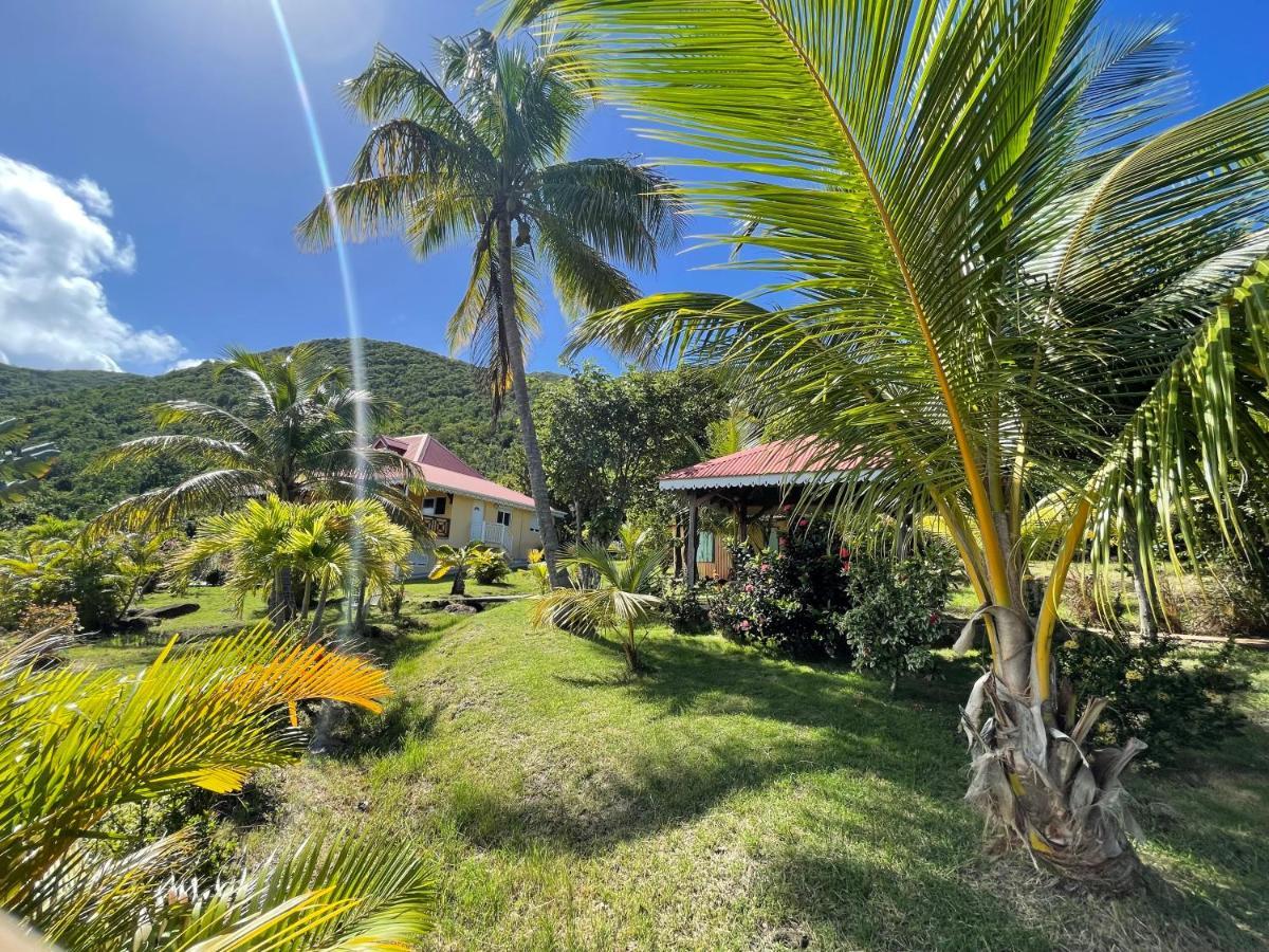 Residence Coco D'Iles, Gite Ti Bambou Terre-de-Bas Luaran gambar